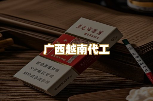 广西越南代工